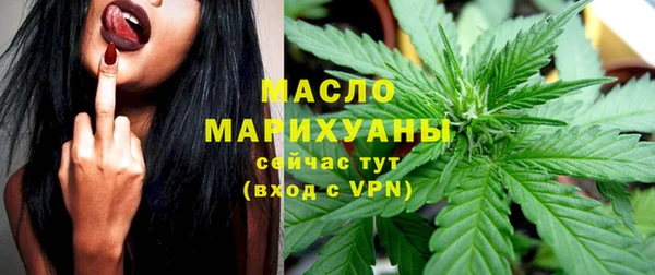 прущий лед Богданович