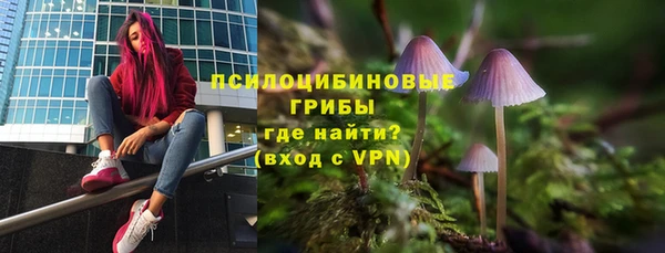 прущий лед Богданович