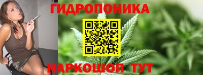 сатива Изобильный