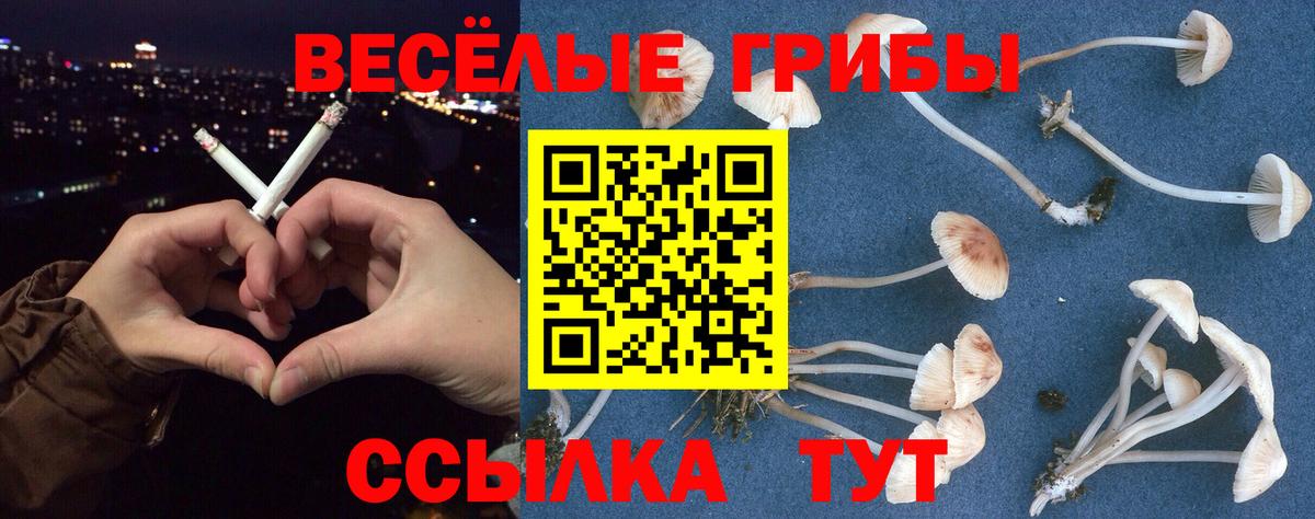 Псилоцибиновые грибы прущие грибы  Каменск-Уральский 