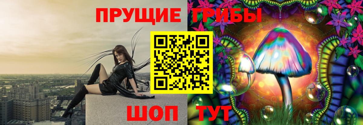 Галлюциногенные грибы Cubensis  Галлюциногенные грибы GOLDEN TEACHER  Вход с VPN  Каменск-Уральский 